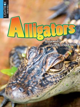 Knjiga Alligators Katie Gillespie