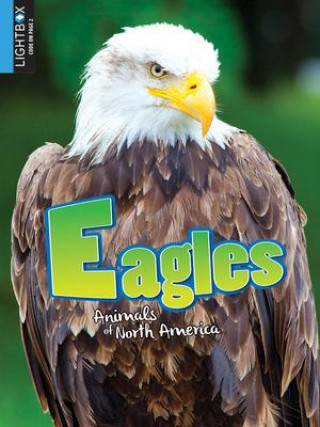 Knjiga Eagles Katie Gillespie