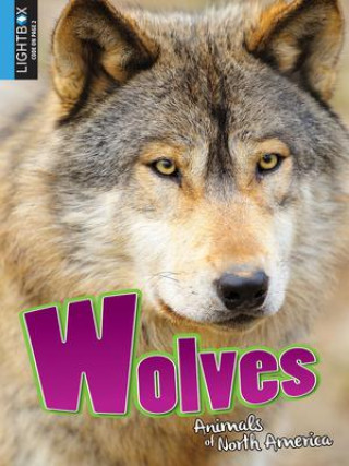 Buch Wolves Katie Gillespie