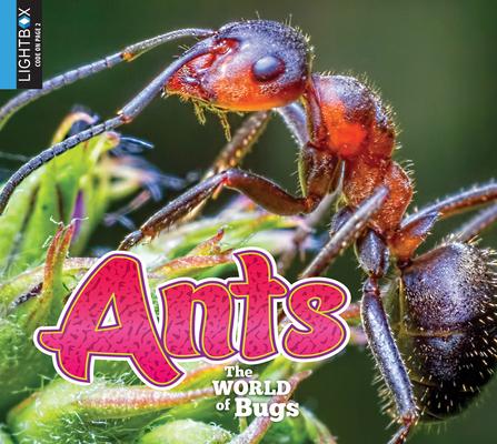 Knjiga Ants Jared Siemens