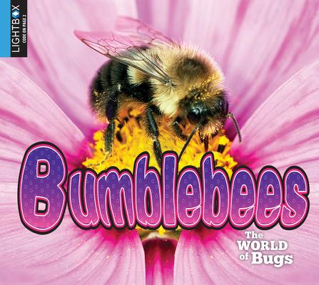 Knjiga Bumblebees Jared Siemens