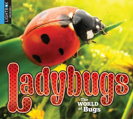 Knjiga Ladybugs Jared Siemens