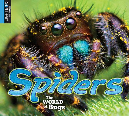 Knjiga Spiders Heather Kissock