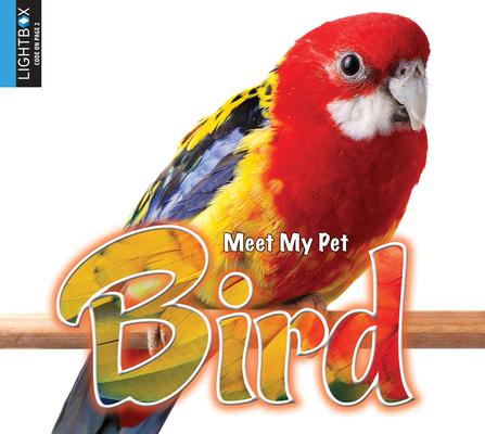 Βιβλίο Bird Jared Siemens