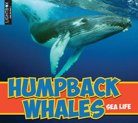 Knjiga Humpback Whales Jared Siemens