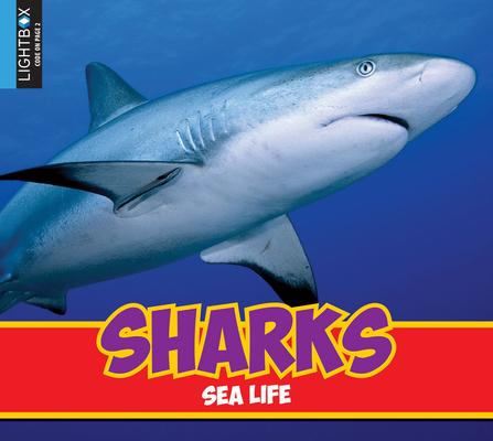 Knjiga Sharks Jared Siemens