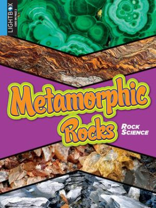 Knjiga Metamorphic Rocks Blaine Wiseman