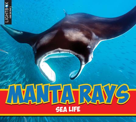 Knjiga Manta Rays Heather Kissock