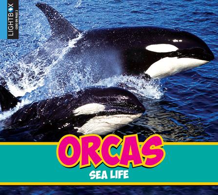 Knjiga Orcas Heather Kissock