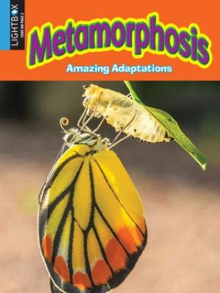 Book Metamorphosis Jack Zayarny