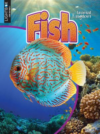 Book Fish Kaite Goldsworthy