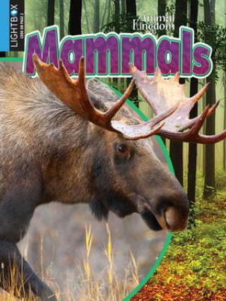 Knjiga Mammals Megan Kopp