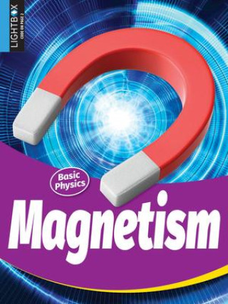 Book Magnetism Kaite Goldsworthy