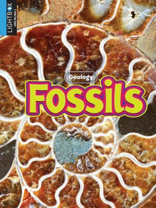 Βιβλίο Fossils Megan Lappi