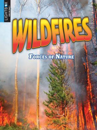 Knjiga Wildfires Pamela McDowell