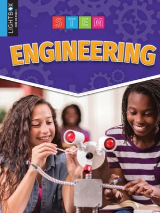 Knjiga Engineering Marzia Tempoli