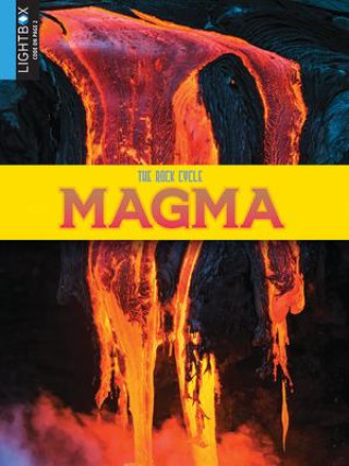 Knjiga Magma John Willis