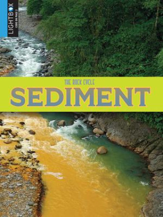 Knjiga Sediment John Willis