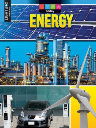 Knjiga Energy Michael Burgan