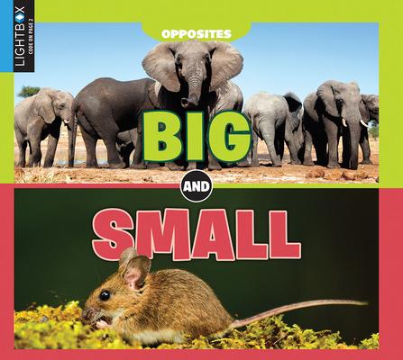 Knjiga Big and Small Emilie DuFresne