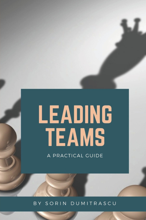 Buch Leading Teams: A Practical Guide Sorin Dumitrascu