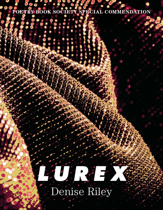 Book Lurex Denise Riley
