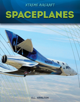 Book Spaceplanes S. L. Hamilton