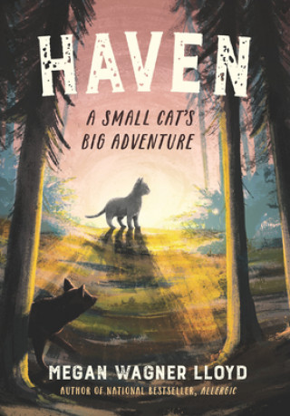 Kniha Haven: A Small Cats Big Adventure Megan Wagner Lloyd