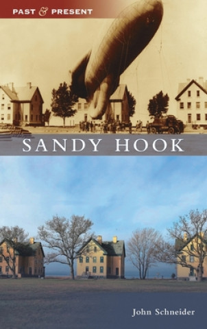 Buch Sandy Hook John Schneider