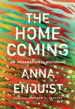 Βιβλίο Homecoming Anna Enquist