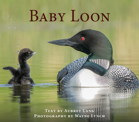 Buch Baby Loon Aubrey Lang