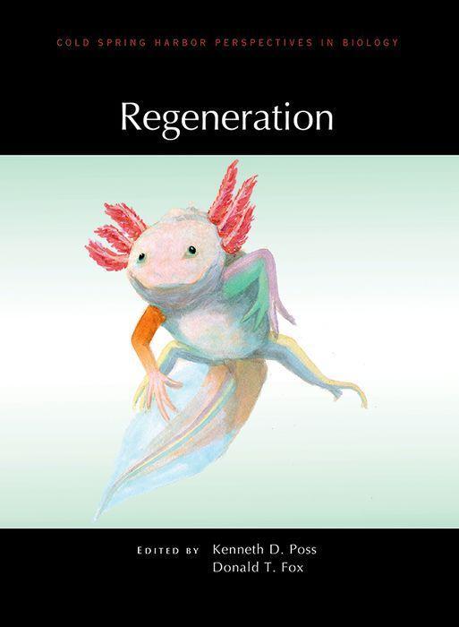 Book Regeneration Kenneth D. Poss