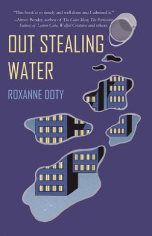 Knjiga Out Stealing Water Roxanne Lynn Doty