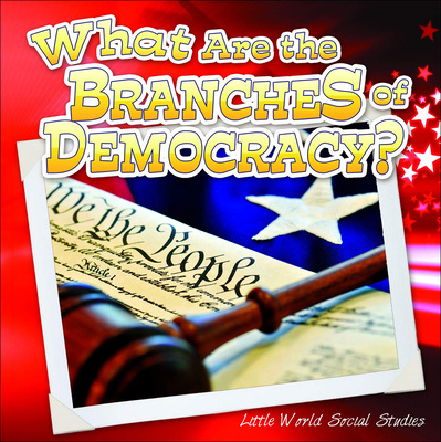 Kniha What Are the Branches of Government? Ann Matzke