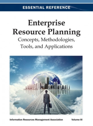 Kniha Enterprise Resource Planning Irma