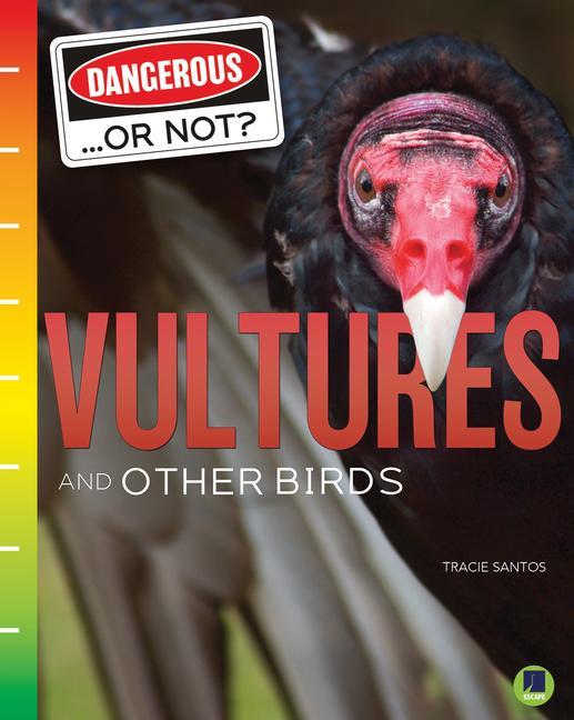 Knjiga Vultures and Other Birds Tracie Santos