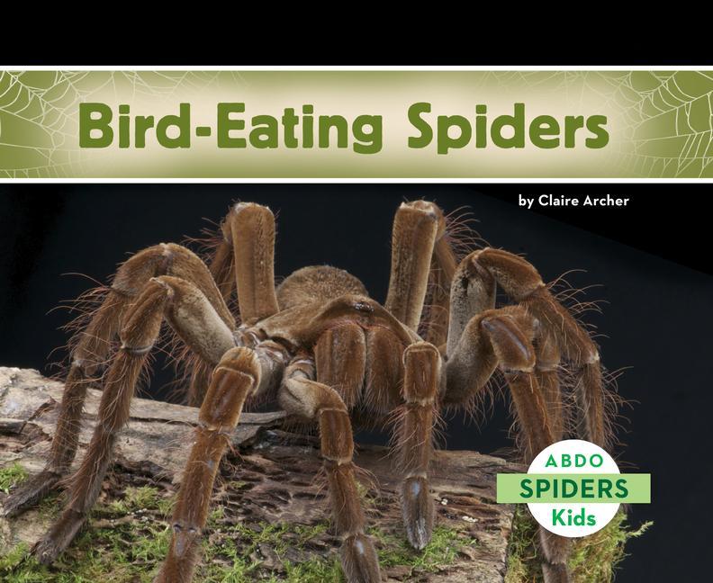 Kniha Bird-Eating Spiders Claire Archer