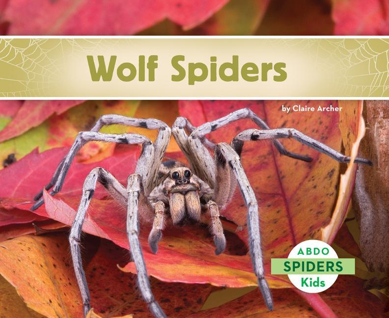 Kniha Wolf Spiders Claire Archer