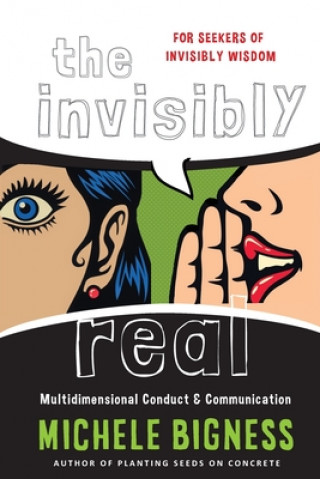 Buch Invisibly Real Michele Bigness