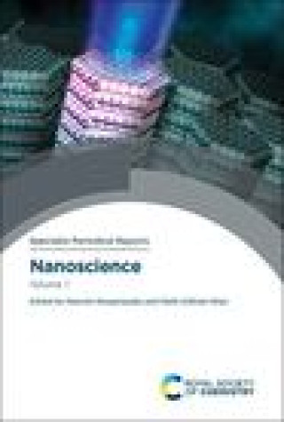 Book Nanoscience Neerish Revaprasadu