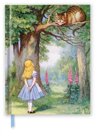 Kalendář/Diář John Tenniel: Alice and the Cheshire Cat (Blank Sketch Book) Flame Tree Studio