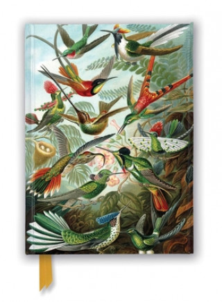 Naptár/Határidőnapló Ernst Haeckel: Hummingbirds (Foiled Journal) Flame Tree Studio