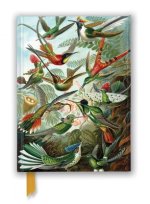 Calendar / Agendă Ernst Haeckel: Hummingbirds (Foiled Journal) Flame Tree Studio