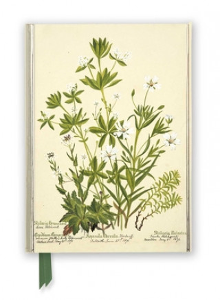 Naptár/Határidőnapló RBGE: Charlotte Cowan Pearson: Stitchworts, Woodruff and Pepperwort (Foiled Journal) Flame Tree Studio