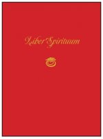 Könyv Liber Spirituum: Book of Spirits (Being the Grimoire of Paul Huson) Paul Huson