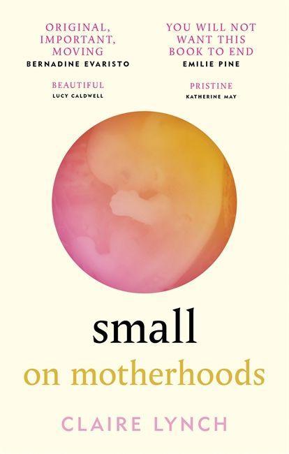 Boek Small Claire Lynch