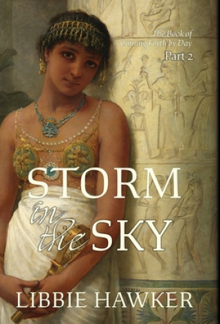 Boek Storm in the Sky Libbie Hawker
