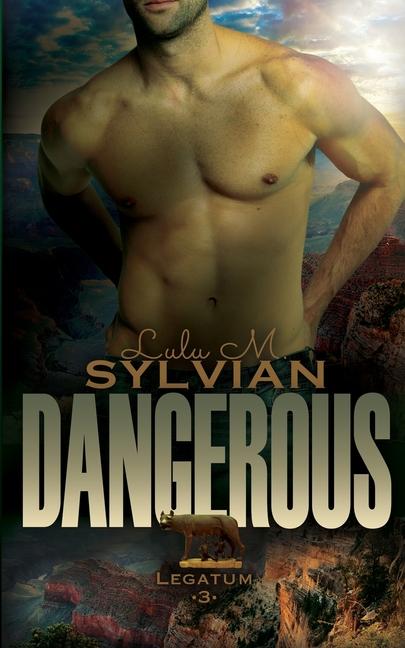 Book Dangerous Lulu M. Sylvian