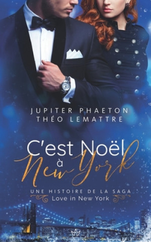 Boek C'est Noel a New York Théo Lemattre