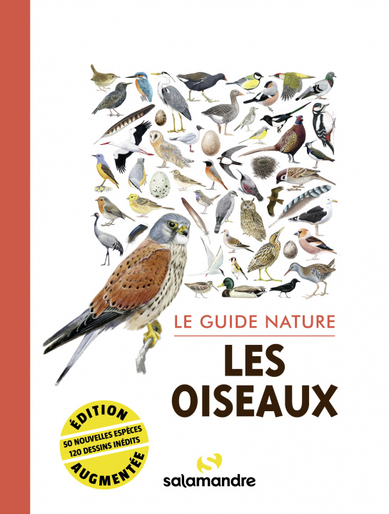 Könyv Le guide nature les oiseaux collegium